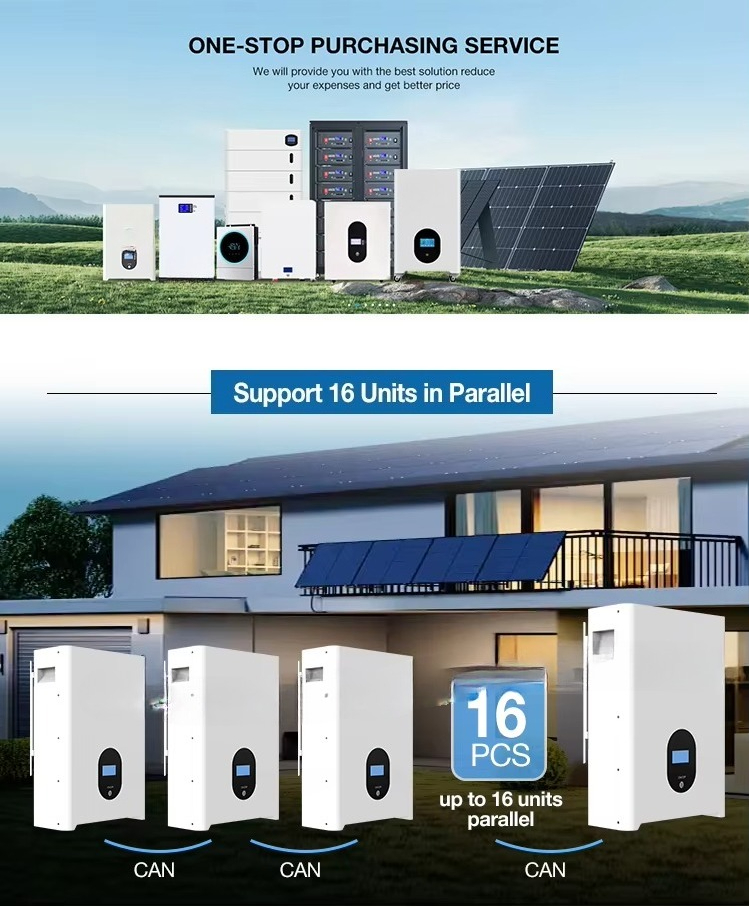 แบตเตอรี่ลิเธียมสำหรับบ้าน LiF - Lithium Battery 100Ah บทวิจารณ์และราคา